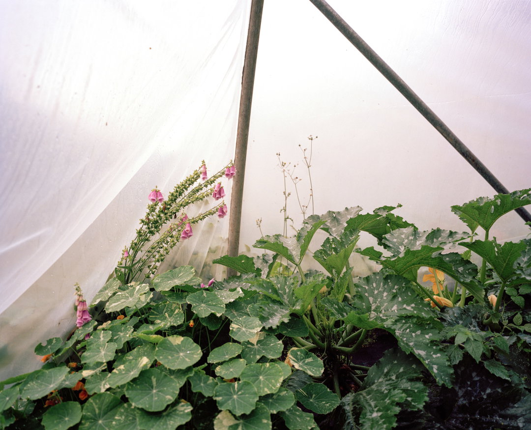 marco-kesseler-polytunnel-photography-itsnicethat-09.JPG