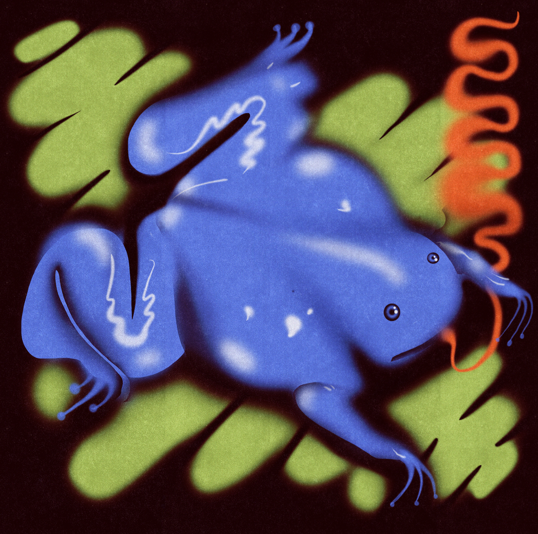 mariacontrerasaravena-illustration-itsnicethat8.png