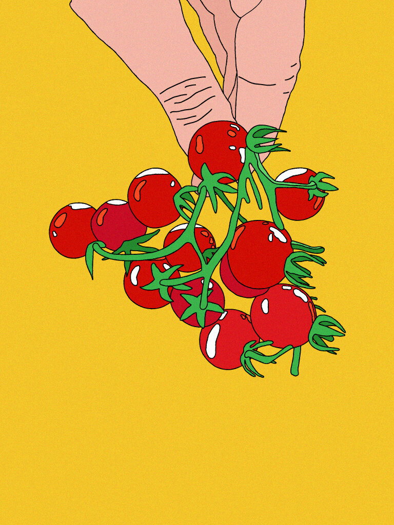 marianna-fierro-illustration-itsnicethat-05.jpg