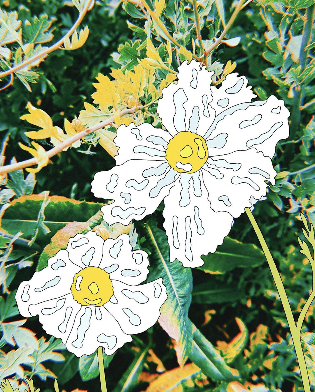 marianna-fierro-illustration-itsnicethat-06.png
