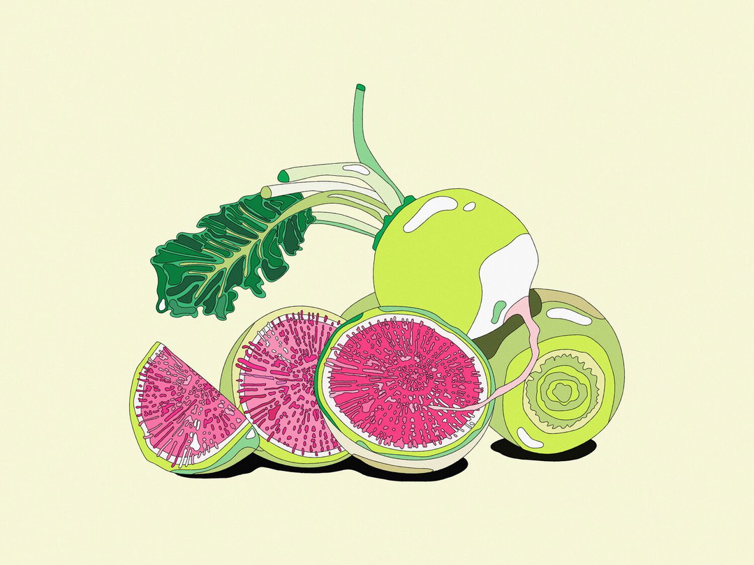 marianna-fierro-illustration-itsnicethat-09.jpg