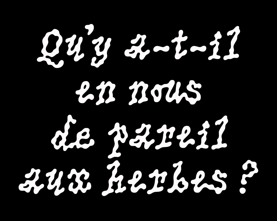 marielle-nils-graphic-design-itsnicethat-01.gif