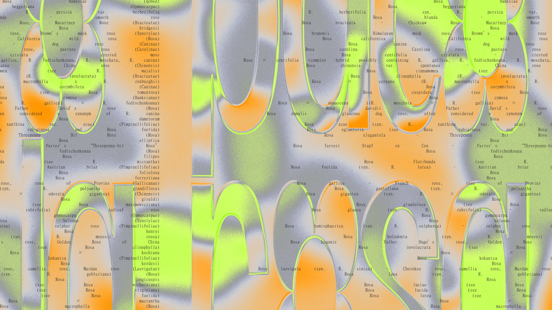 marina-veziko-graphic-design-itsnicethat-01.jpg