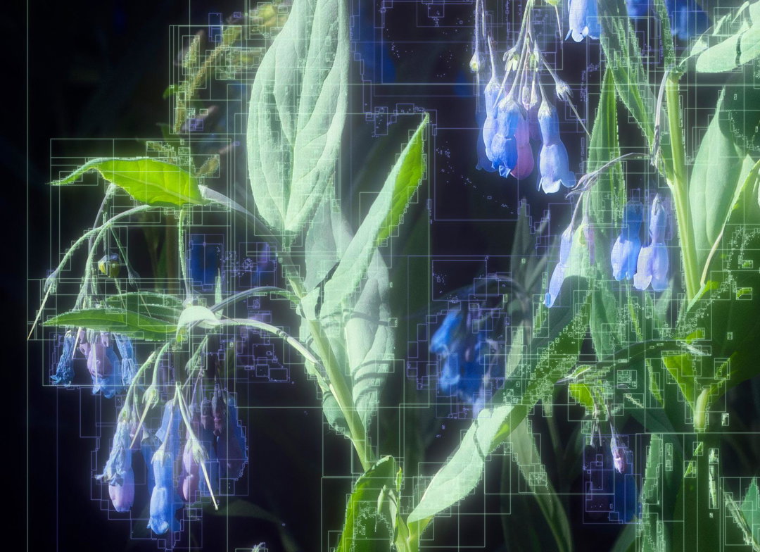 Unreal nature: Inside Mark Dorf’s digital vivariums and infinite livestreams