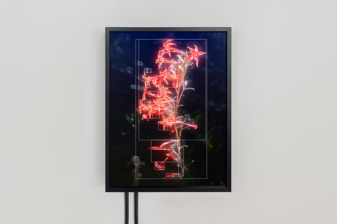 mark-dorf-art-graphic-design-itsnicethat14.jpg