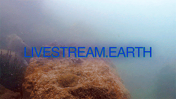 mark-dorf-art-graphic-design-itsnicethat16.gif
