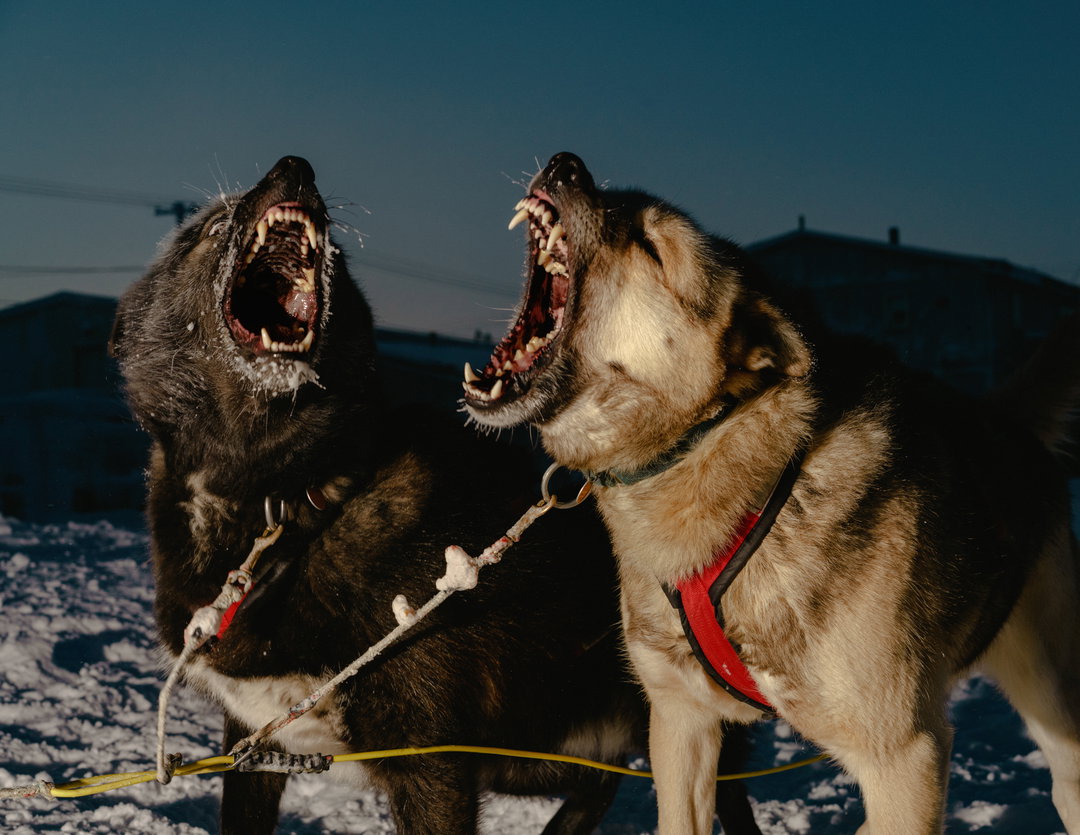 mark-mahaney-polar-night-photography-itsnicethat-11.jpg