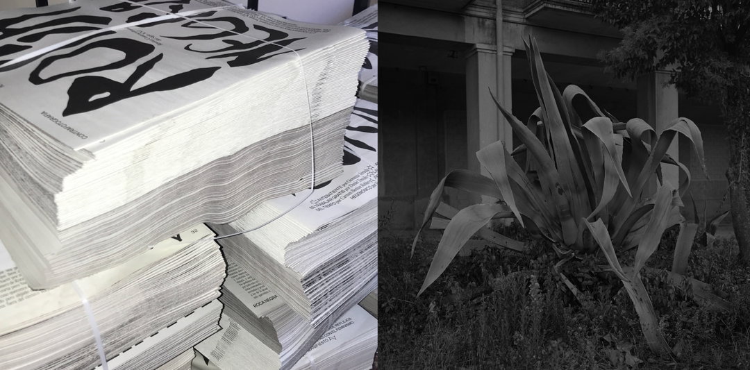 marta-hernandez-graphic-design-itsnicethat-11.jpg