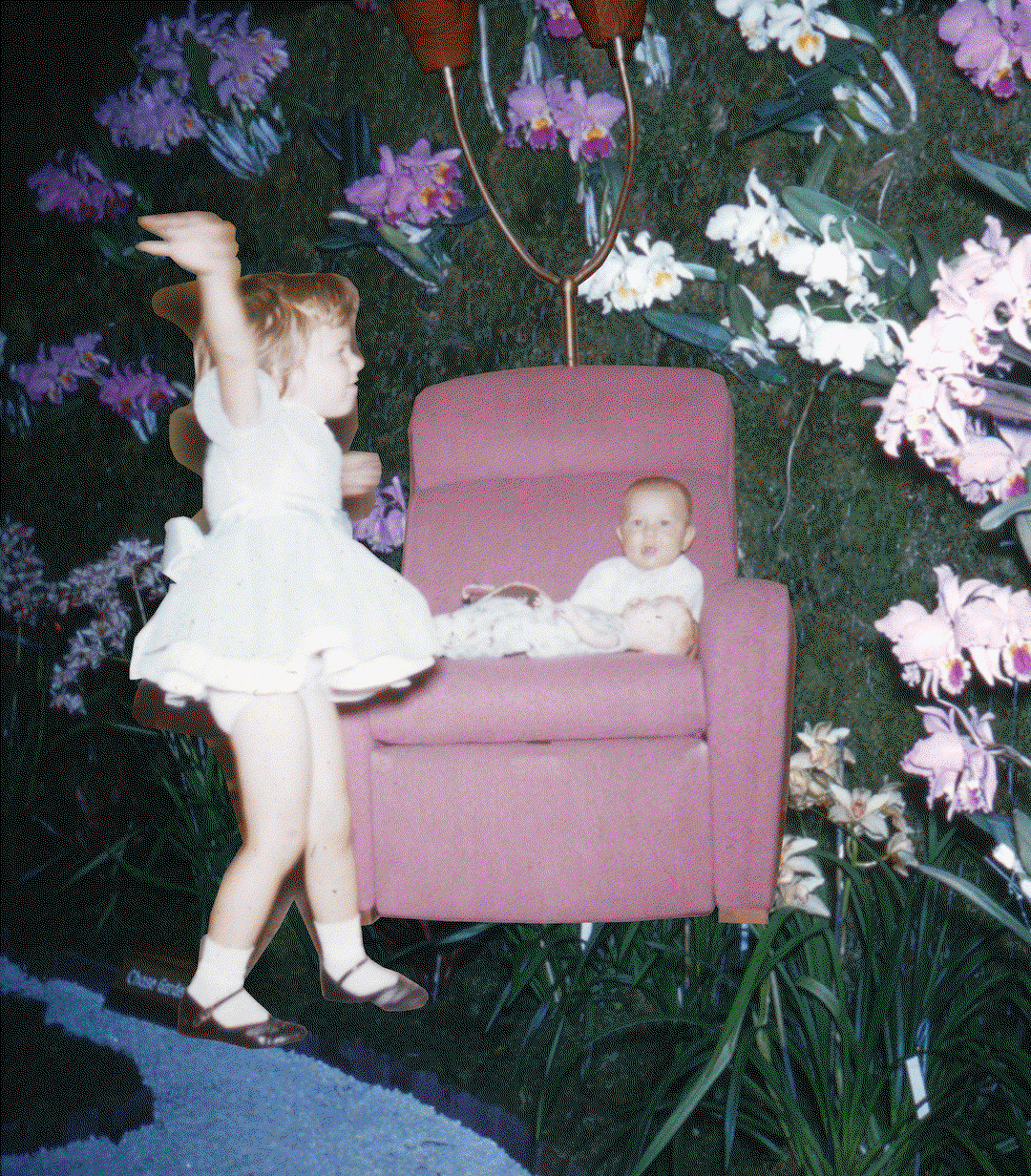 martha-naranjo-sandoval-photography-itsnicethat2.gif