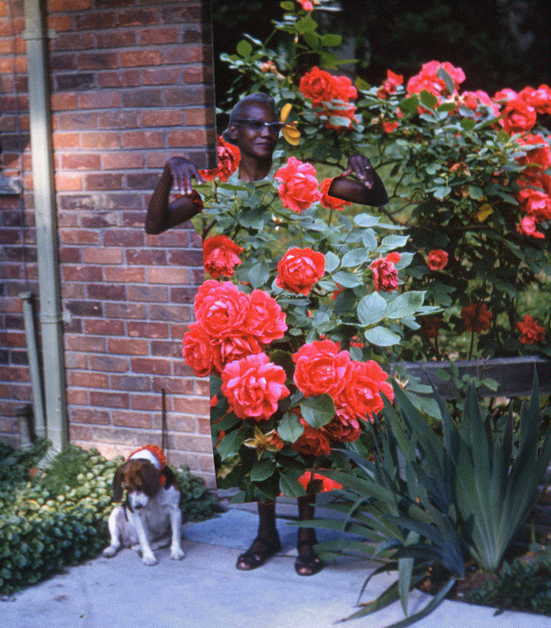 martha-naranjo-sandoval-photography-itsnicethat5.gif