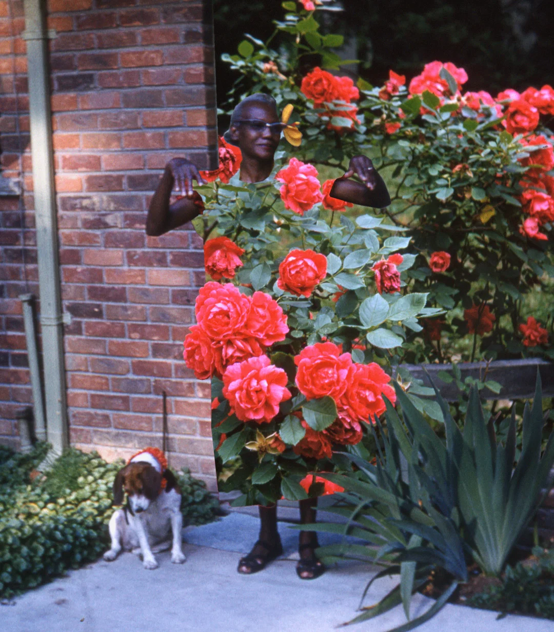martha-naranjo-sandoval-photography-itsnicethat5.gif