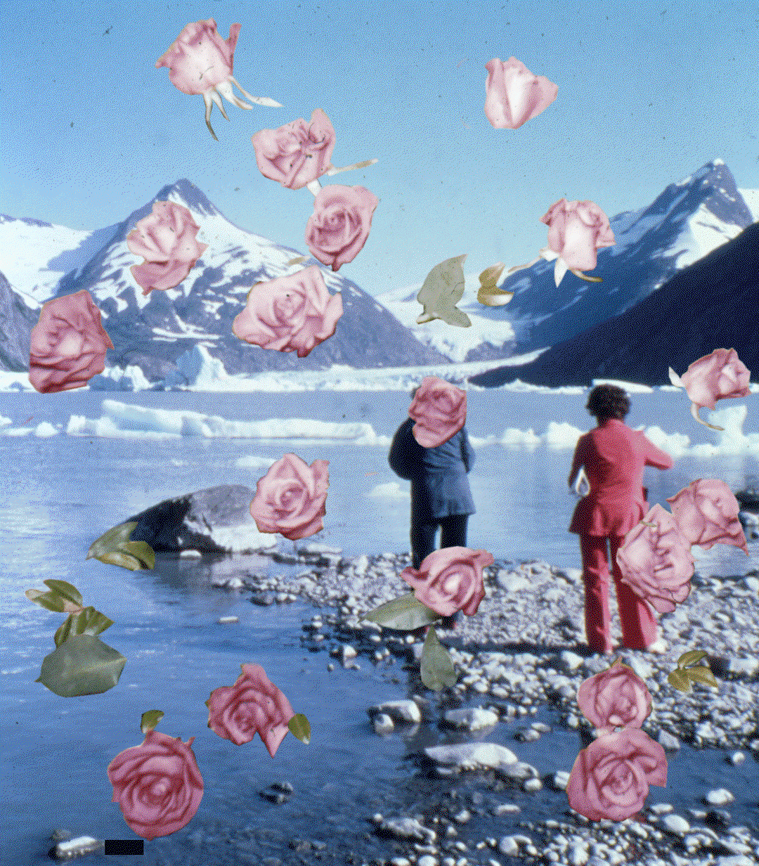 martha-naranjo-sandoval-photography-itsnicethat7.gif