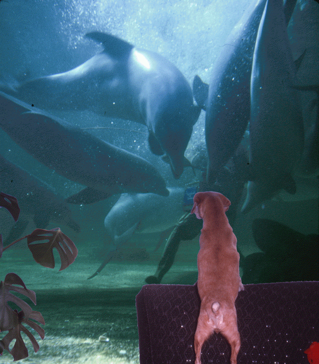 martha-naranjo-sandoval-photography-itsnicethat8.gif
