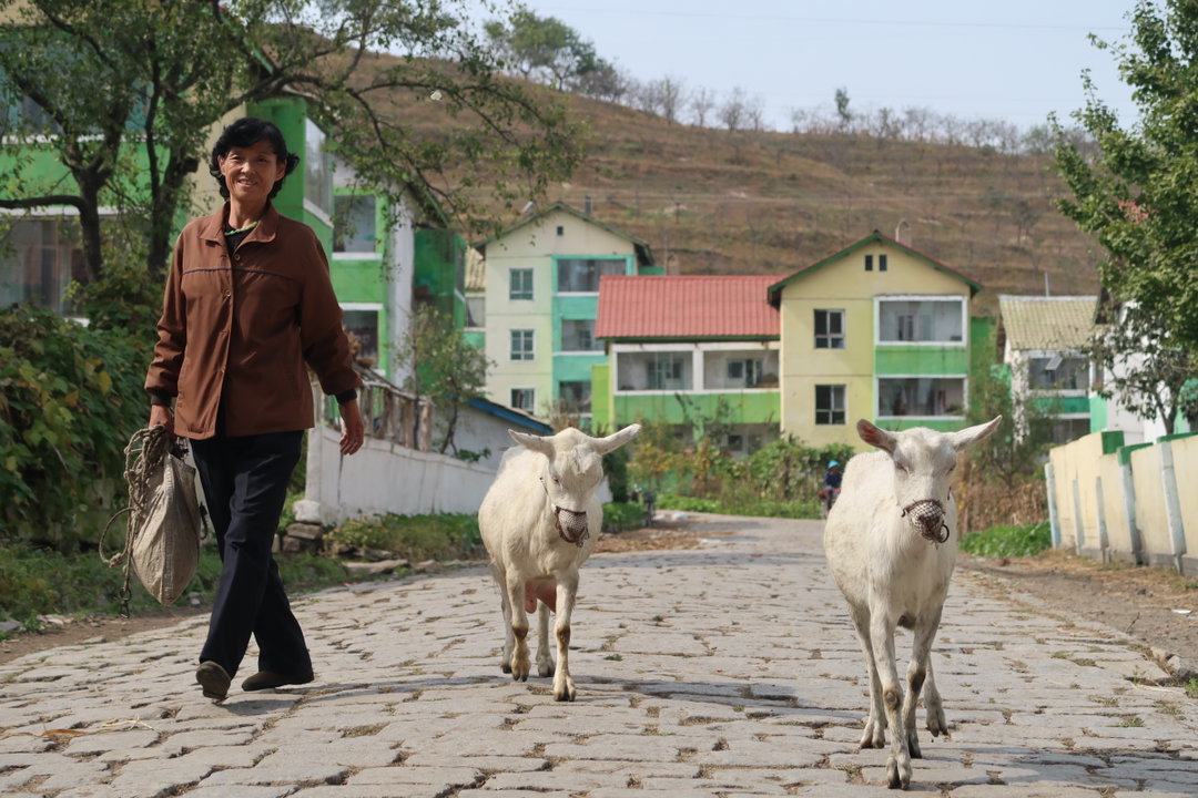 matt-kuleusz-north-korea-photography-itsnicethat-13.jpeg