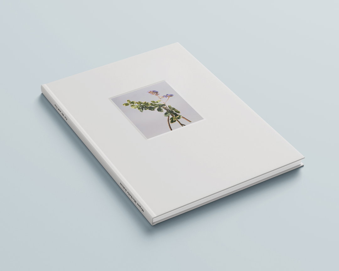megan-dalton-photography-itsnicethat-01.jpg