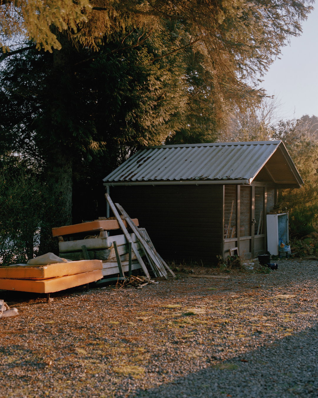 megan-dalton-photography-itsnicethat-11.jpg