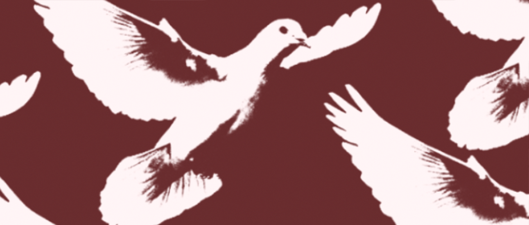melina k bird.png