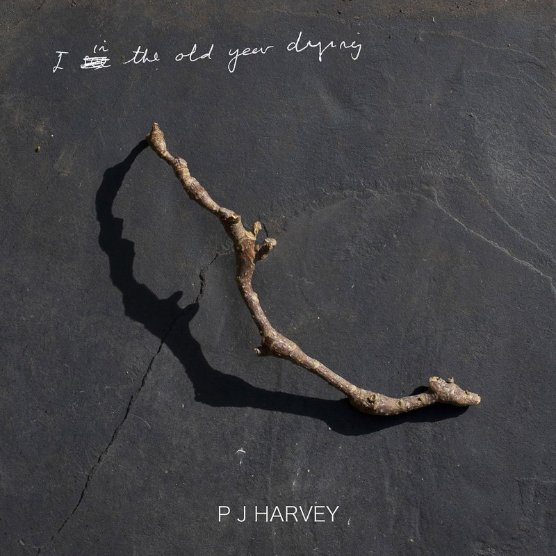 michelle-henning-pj-harvey-graphic-design-itsnicethat-013.jpg