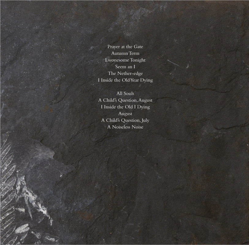 michelle-henning-pj-harvey-graphic-design-itsnicethat-014.jpg