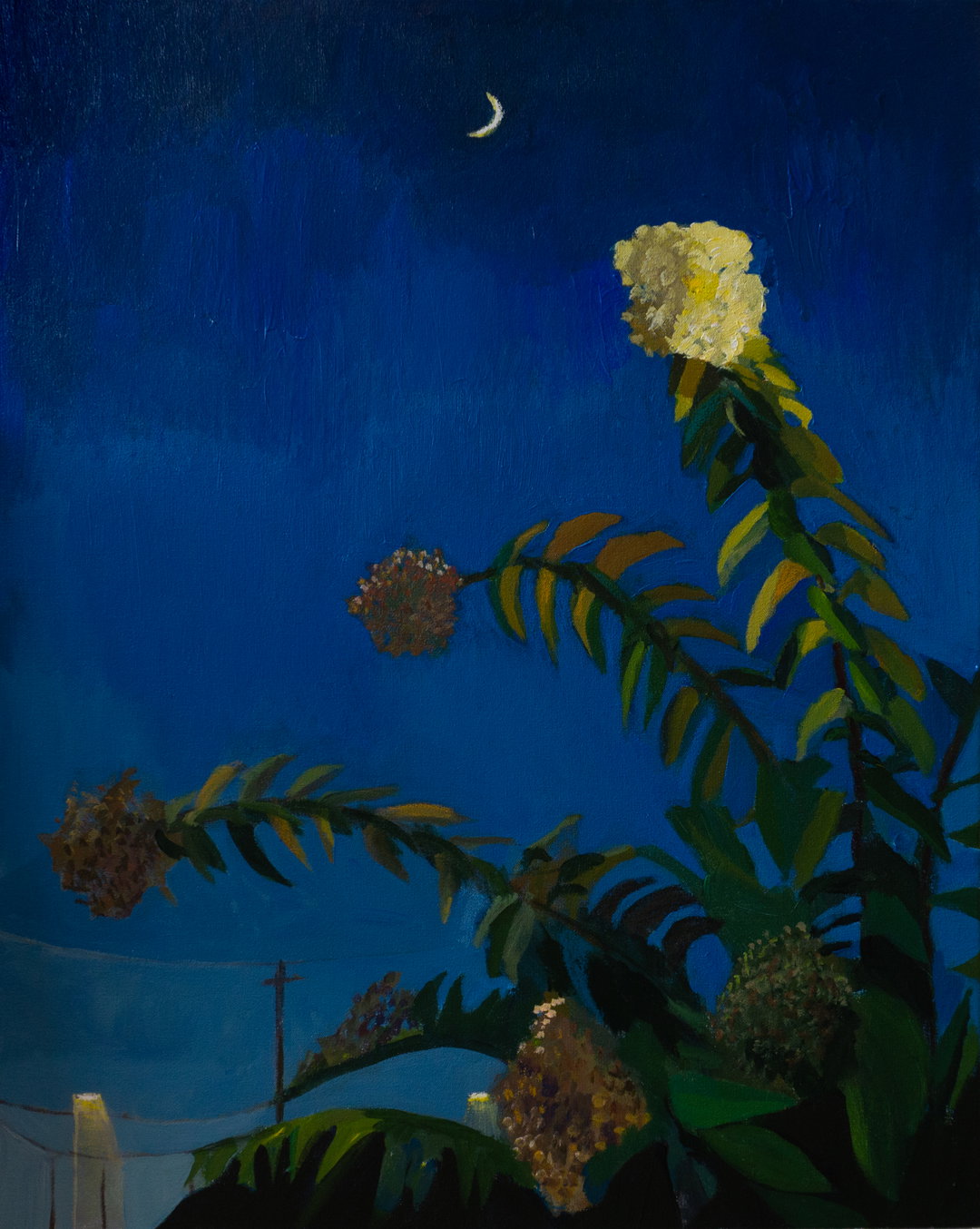 mikey-yates-art-itsnicethat-06.jpg