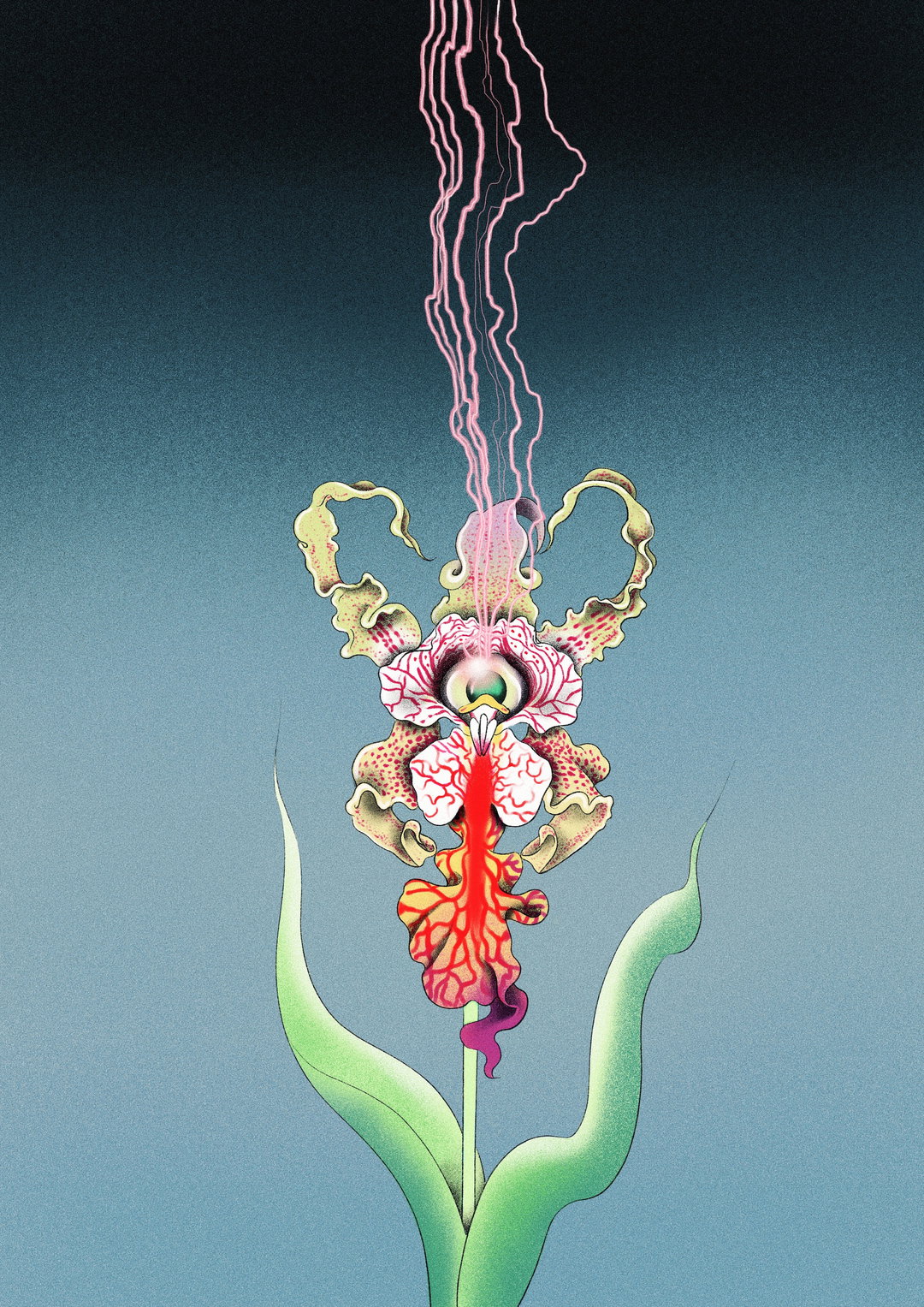 miki-kim-illustration-itsnicethat-01.JPG