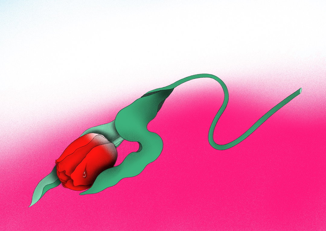 miki-kim-illustration-itsnicethat-08.jpg