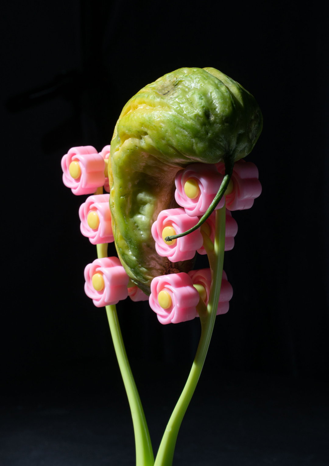 minh-ngoc-nguyen-photography-itsnicethat-13.jpg
