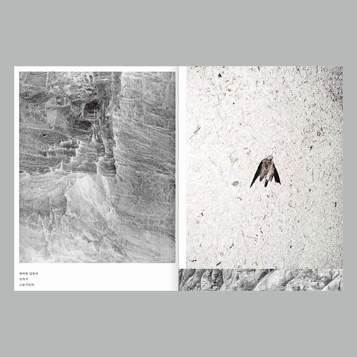 minji-yi-to-bury-the-dog-properly-work-photography-itsnicethat-03.jpg