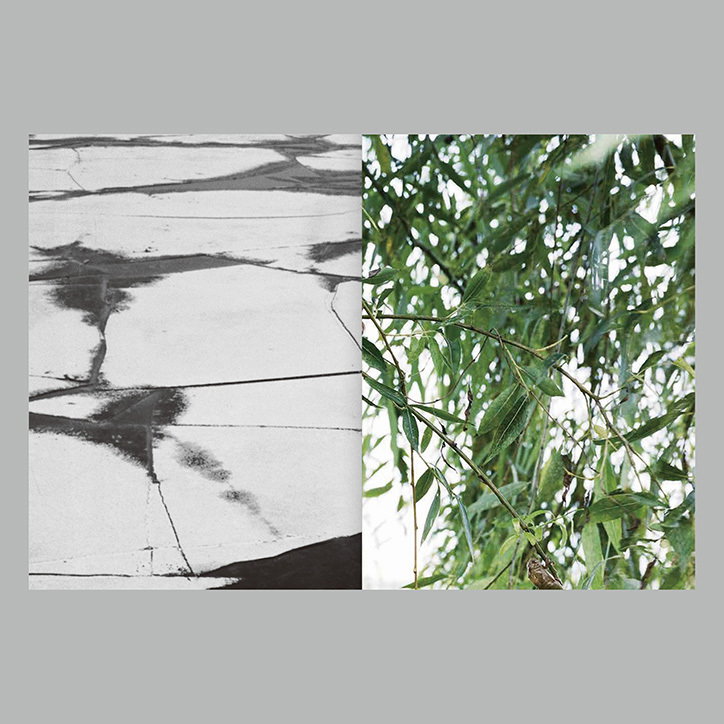 minji-yi-to-bury-the-dog-properly-work-photography-itsnicethat-06.jpg