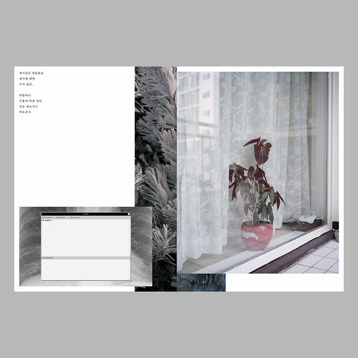 minji-yi-to-bury-the-dog-properly-work-photography-itsnicethat-08.jpg
