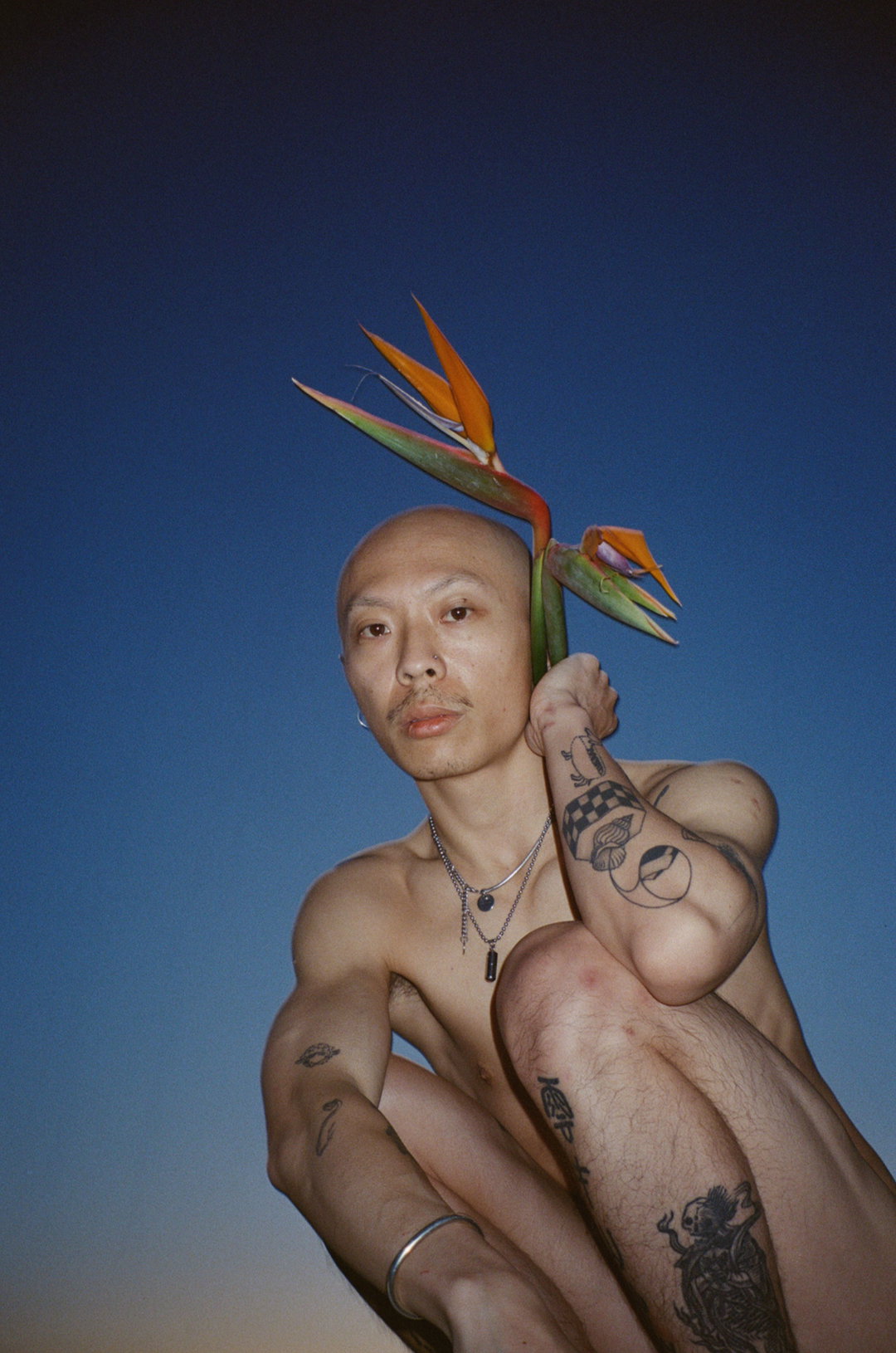 morrison-gong-photography-itsnicethat8.jpg