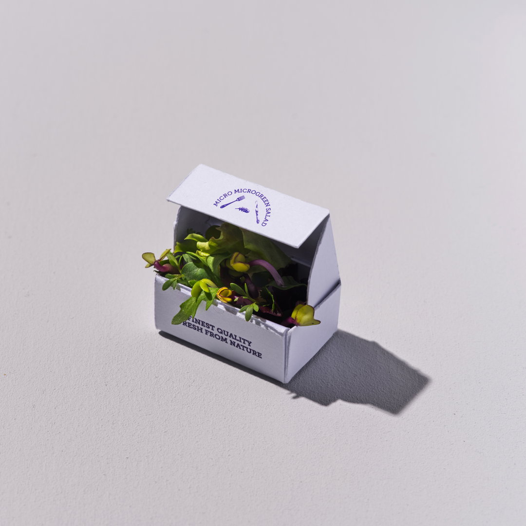mother-the-quantum-cafe-creative-industry-food-drink-itsnicethat-02.jpg