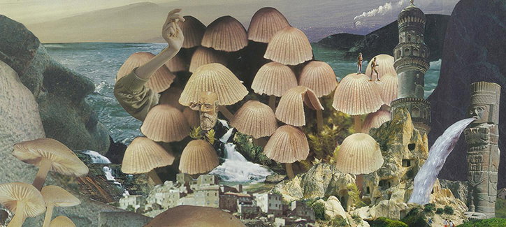 mushrooms-somerset-house-diary-january-2020-art-itsnicethat.jpg
