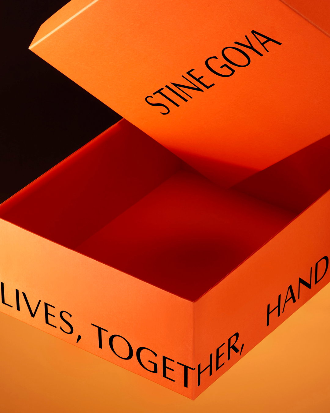 n-e-stine-goya-graphic-design-itsnicethat-019.jpg