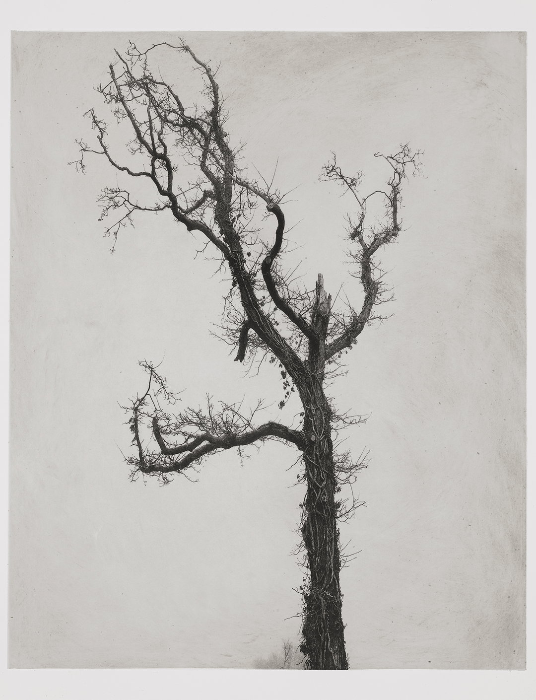 nadav-kander-photo-intTreow VI (Trust and Promise), Wales, 2021 © Nadav Kander. Courtesy Flowers Gallery (close up).jpg