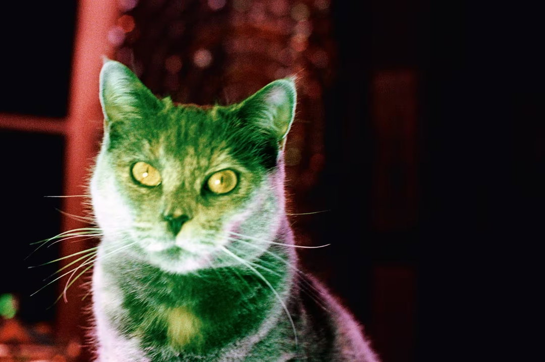 nan-goldin-hayward-gallery-itsnicethat-nicefeed.jpeg