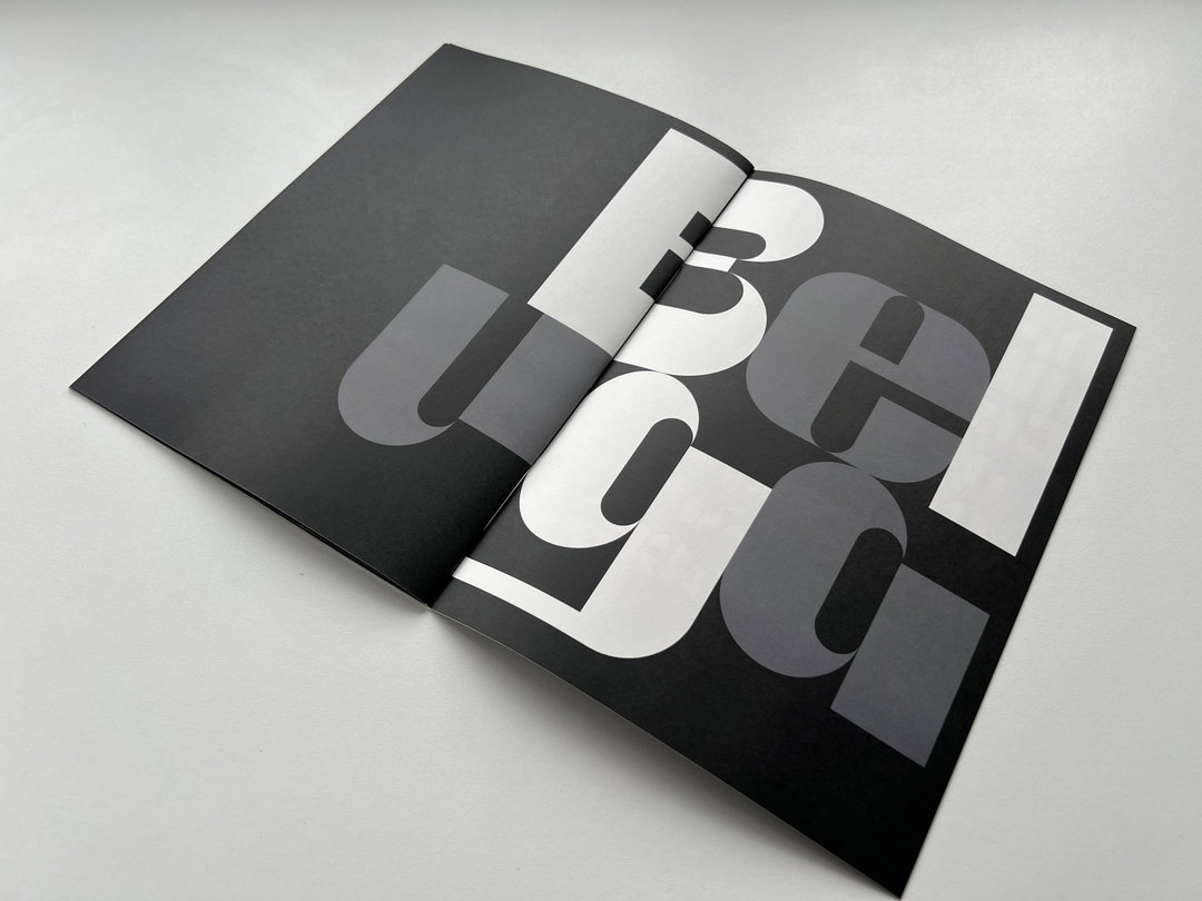natasha-lucas-orca-minke-beluga-graphic-design-itsnicethat-13.JPG