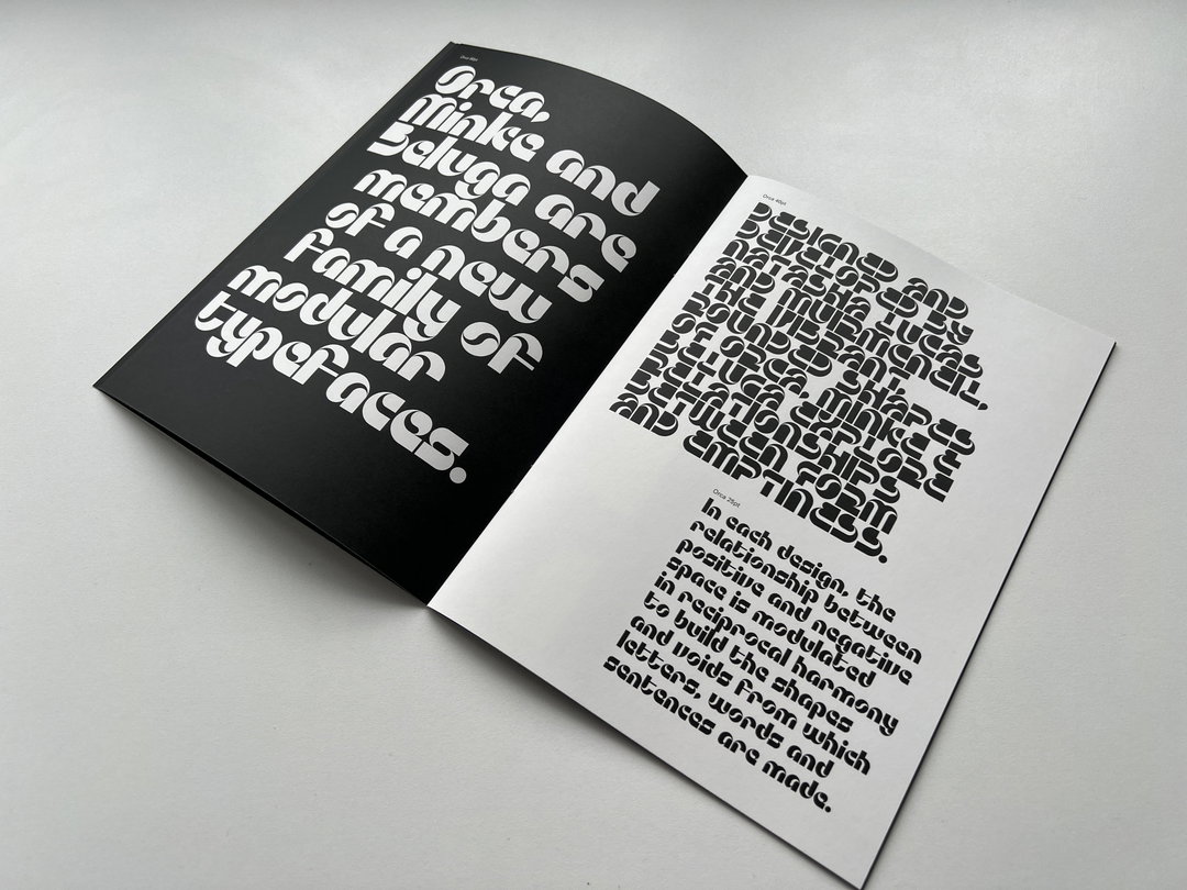 natasha-lucas-orca-minke-beluga-graphic-design-itsnicethat-14.JPG