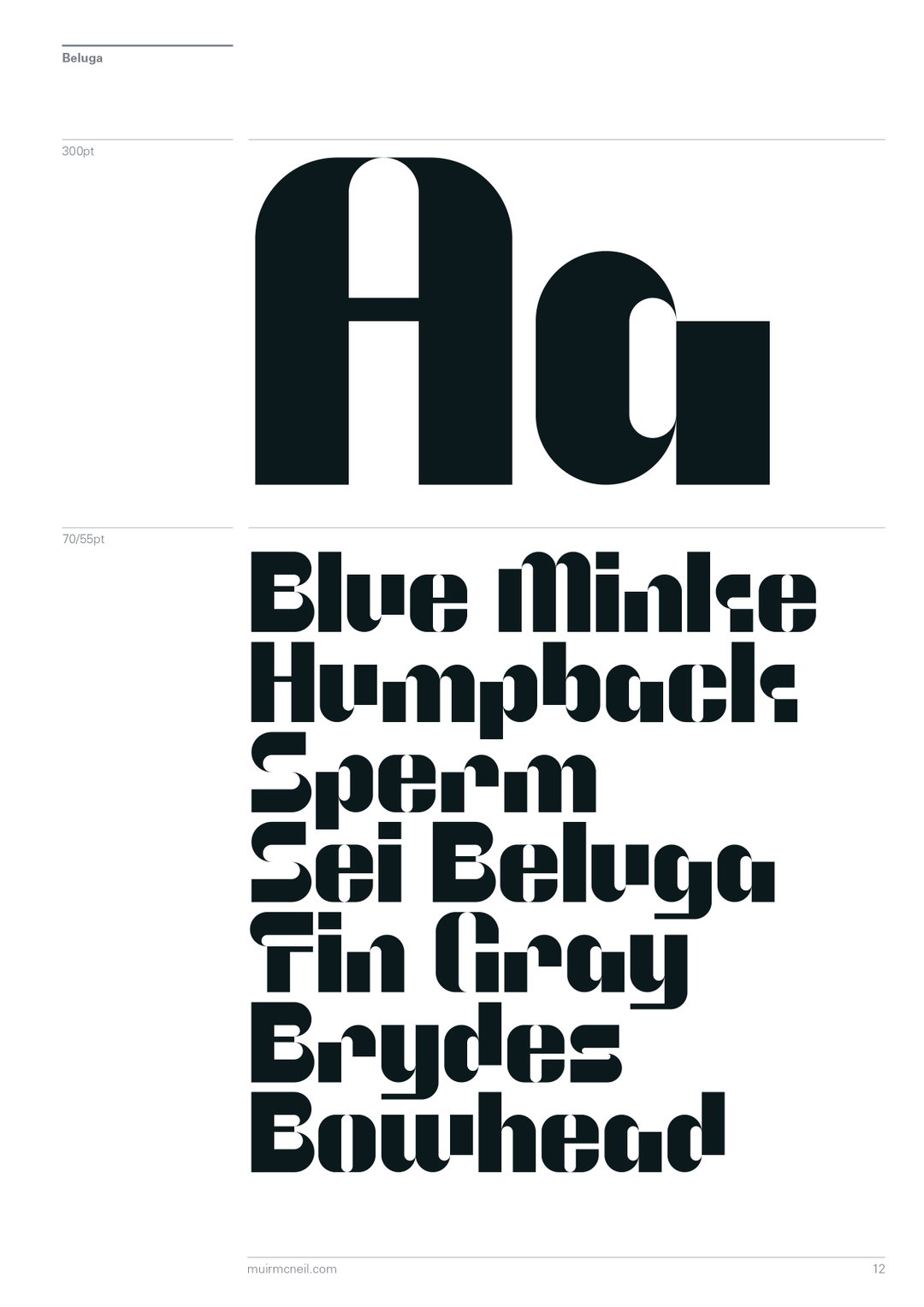 natasha-lucas-orca-minke-beluga-graphic-design-itsnicethat-20.jpg