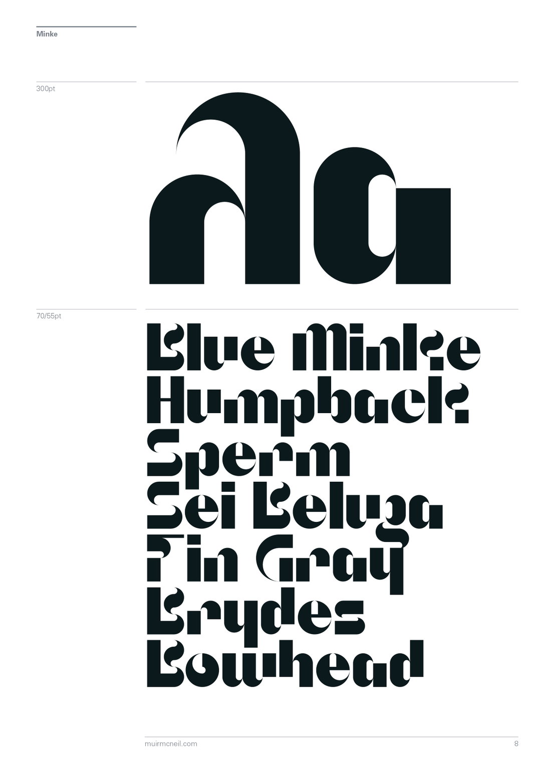 natasha-lucas-orca-minke-beluga-graphic-design-itsnicethat-21.jpg
