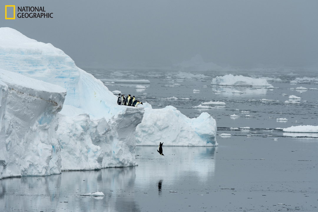 national geographic april 2020 earth day issue publication itsnicethat_2749860.jpg