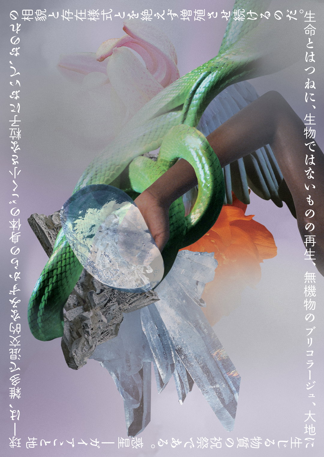 nature-is-not-your-household-work-graphic-design-itsnicethat-1.jpg