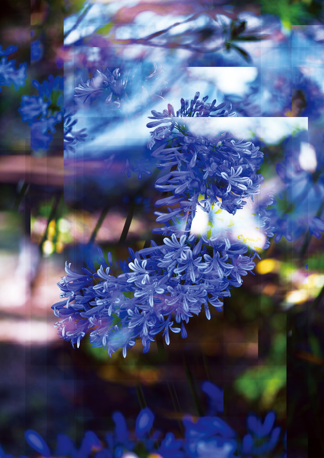 nature-is-not-your-household-work-graphic-design-itsnicethat-3.jpg
