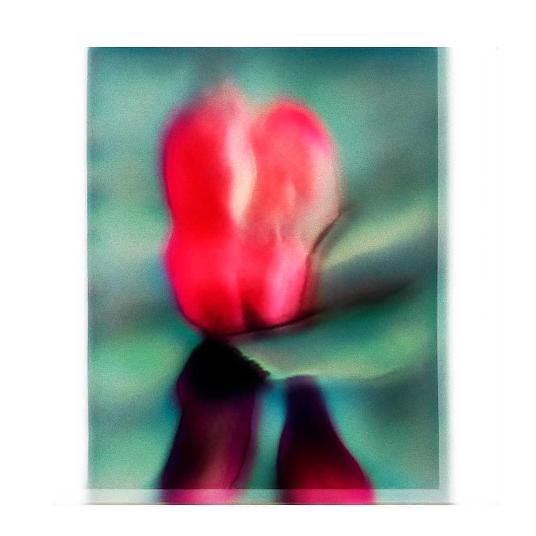 next-generation-2021-Betty Zhiqin Lu-graphic-design-itsnicethat-13.png