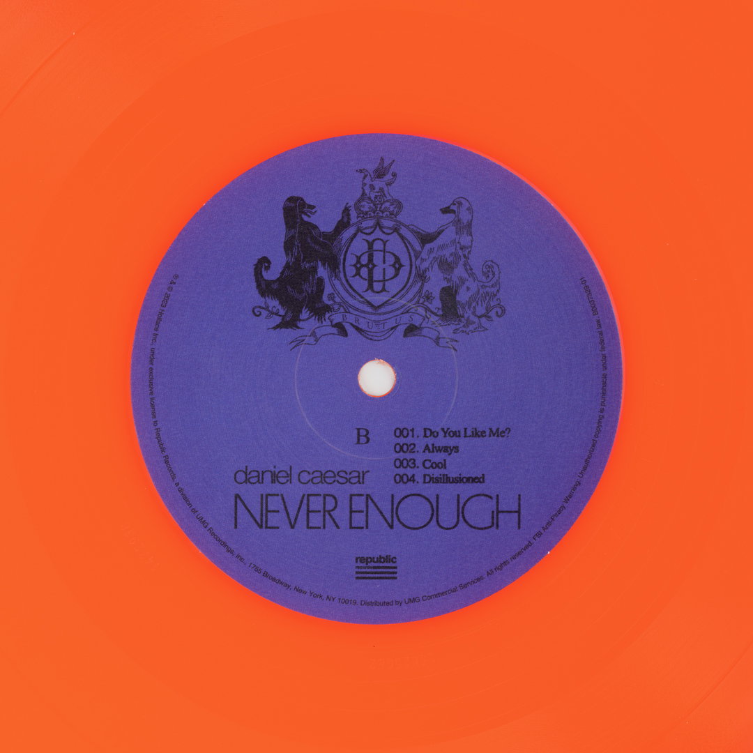nicholas-dapolito-b side2 copy.jpg
