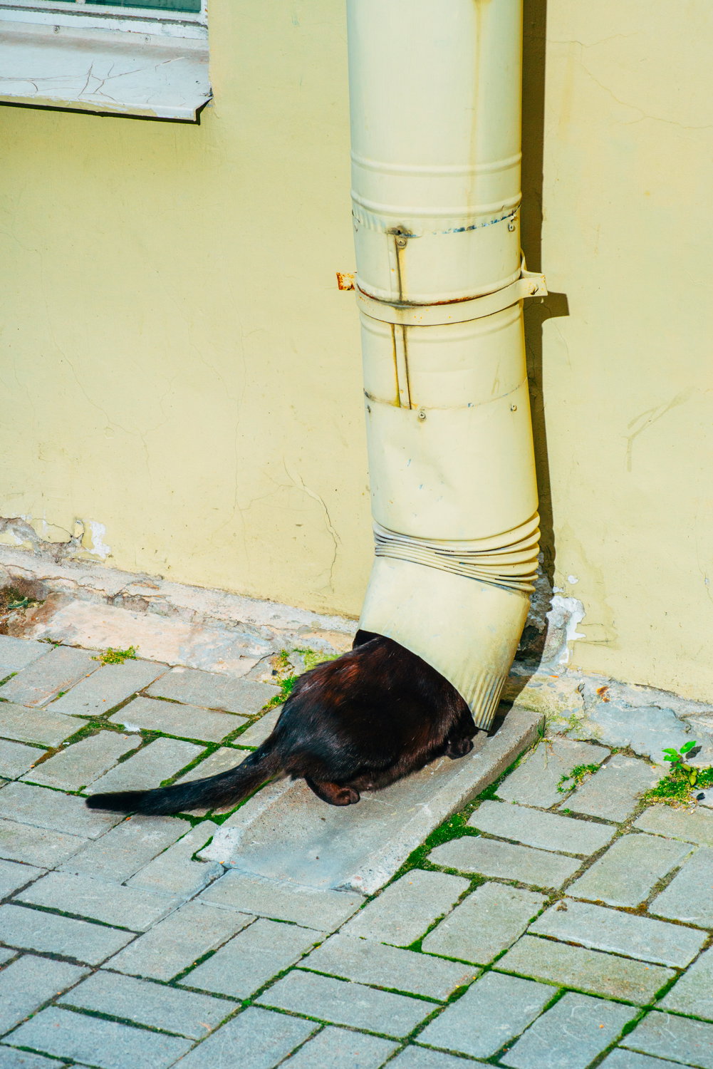 nikita-teryoshin-backyard-diaries-photography-itsnicethat-01.jpg