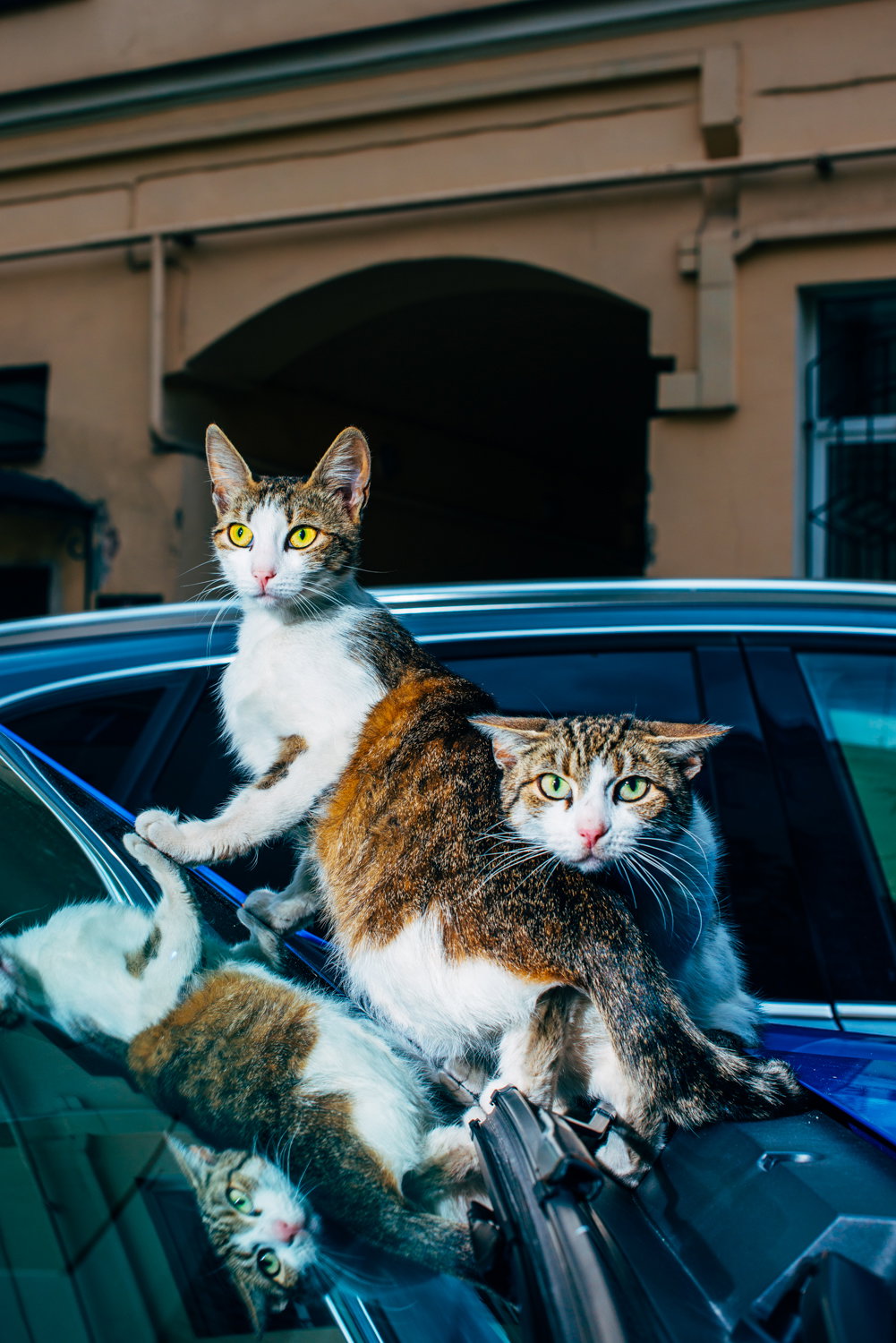 nikita-teryoshin-backyard-diaries-photography-itsnicethat-02.jpg