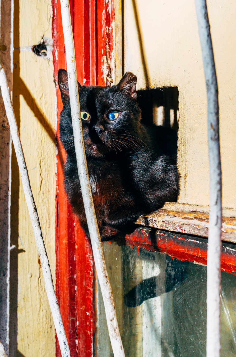 nikita-teryoshin-backyard-diaries-photography-itsnicethat-06.jpg