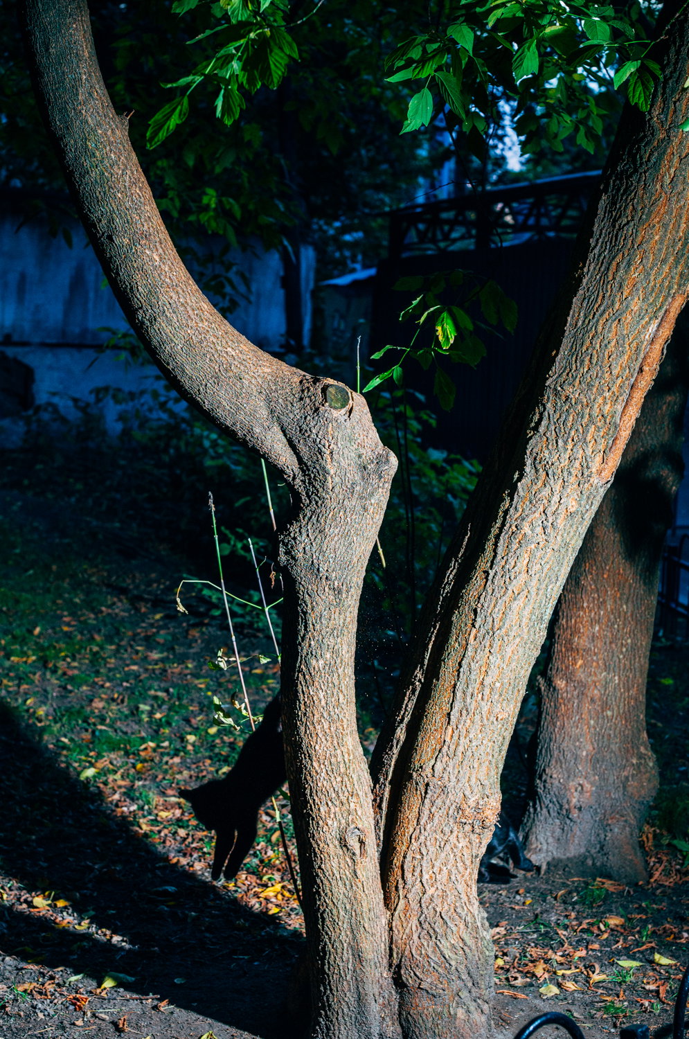 nikita-teryoshin-backyard-diaries-photography-itsnicethat-15.jpg