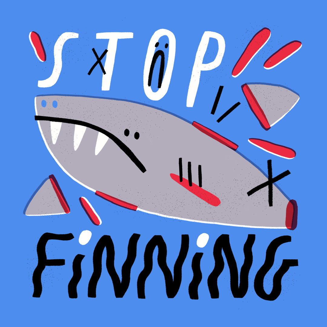 no-planet-no-fun-cop26-features-4.jpg